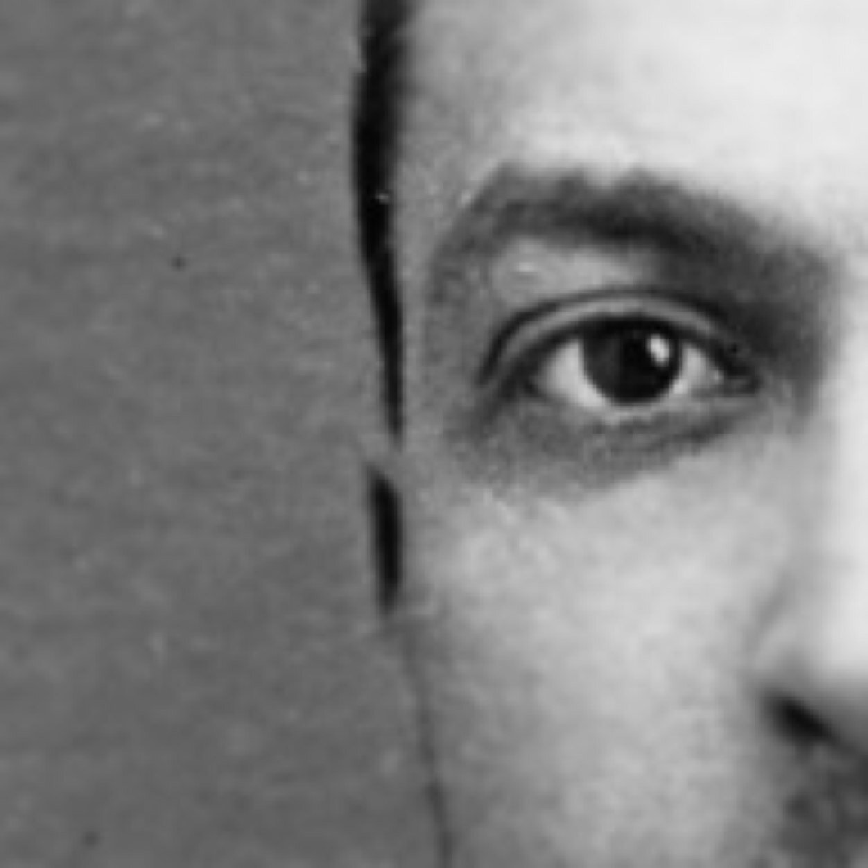 vygotskijskojig's profile picture. Vygotskij himself är jättedöd så detta konto är inte ett riktigt konto, bara ett konto med mycket åsikter, insikter o avsiker vars ägare gillar lära tillsammans