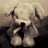 anthony3733's profile image