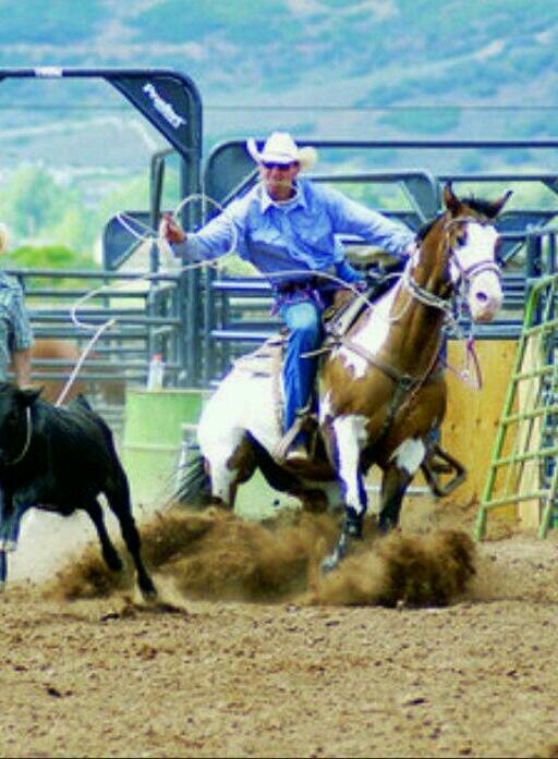 President of Rope Hog LLC