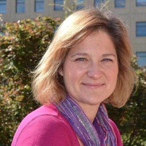 Endocrine Disruption Research, Associate Professor of OBGYN