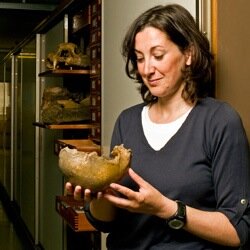 Nature Live: An opportunity to meet our scientists and see incredible specimens from behind the scenes of @NHM_London.