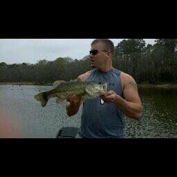 raymondhelms's profile picture. 