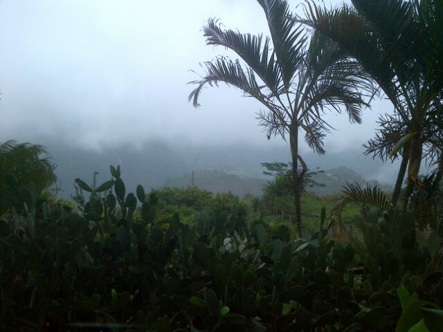 ftorresco's profile picture. 