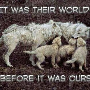 Wildlife activist .