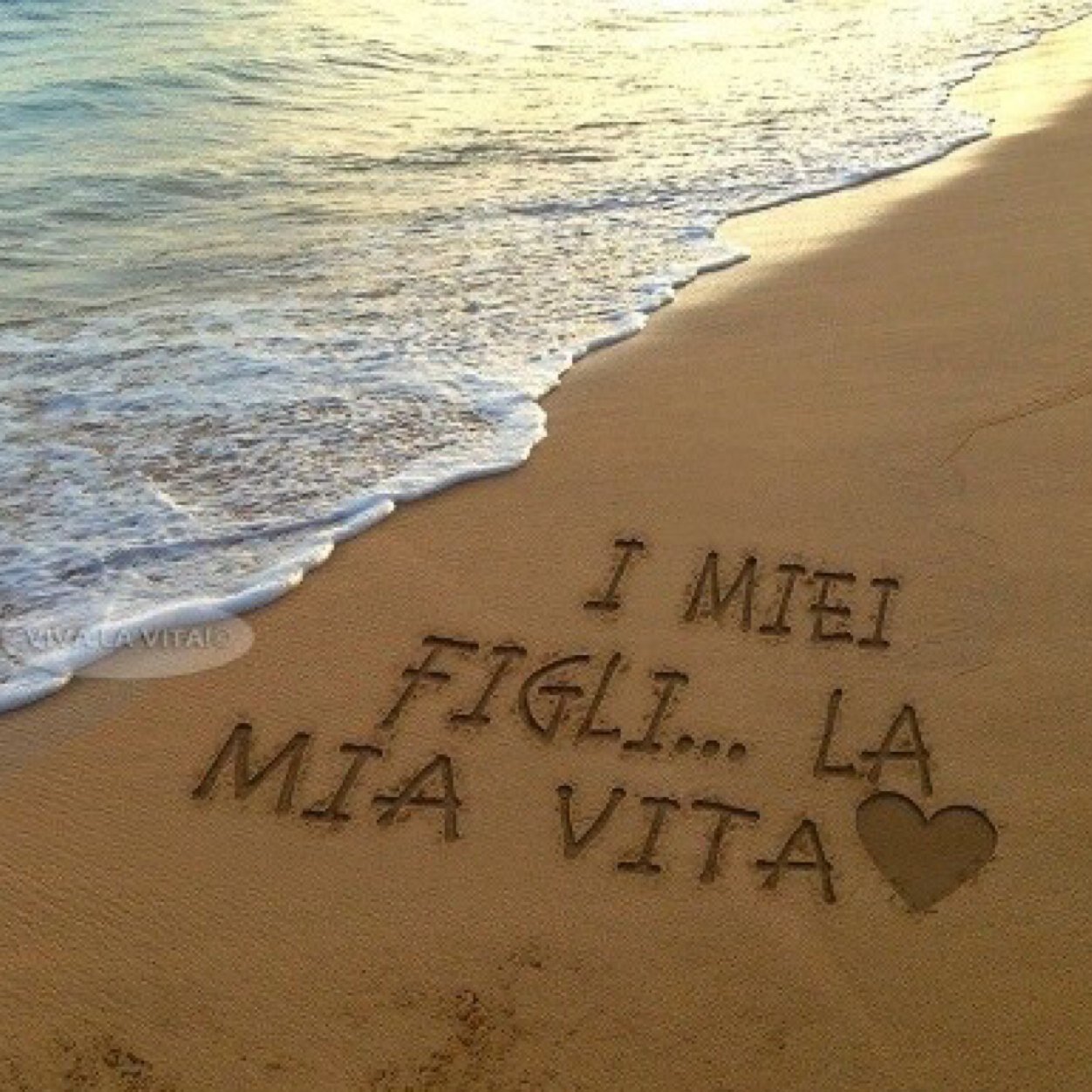 jerryc7231's profile picture. 