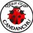 ClubCec's profile image