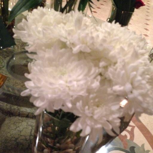 maha0000007's profile picture. ‏مهتمة في الأعمال الخيرية