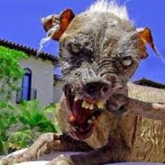 todoelmundo1234's profile picture. 