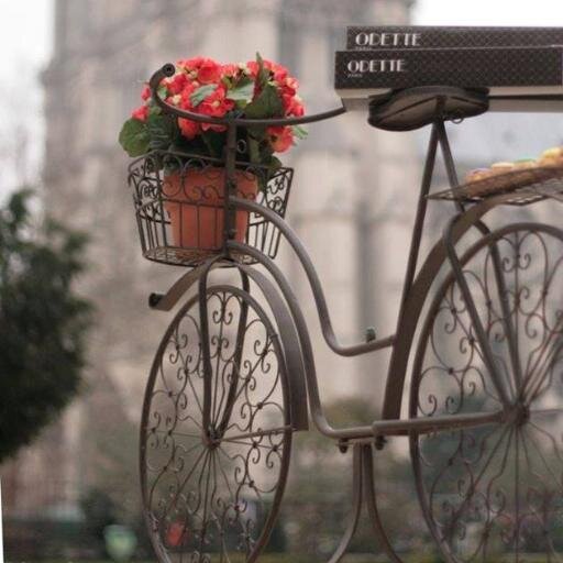 dewi_emy's profile picture. Moslem Agent ✿ Start Up Moslem Agropreneur  ♥ Traveler ♥ Culinary Lover ♥ Al-Maratu Sholihah ✿ Follow: @saleemahijab ♥ ✿ AzollaGreenery ☆☆☆