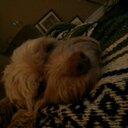 Kris Hadley - @hadley_kris - Twitter