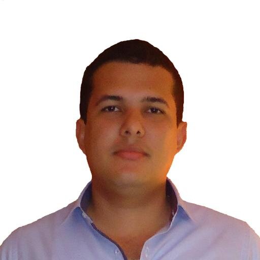 Software Developer