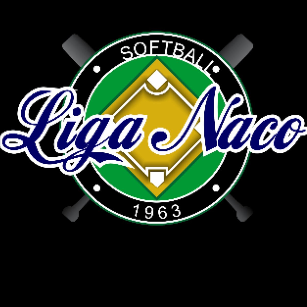 Disciplina, Constancia, Perseverancia,Trabajo en Equipo, Dedicación, Salud Mental y Física, Estos Valores se Pueden Notar en Todos los Aspectos de la LIGA-NACO