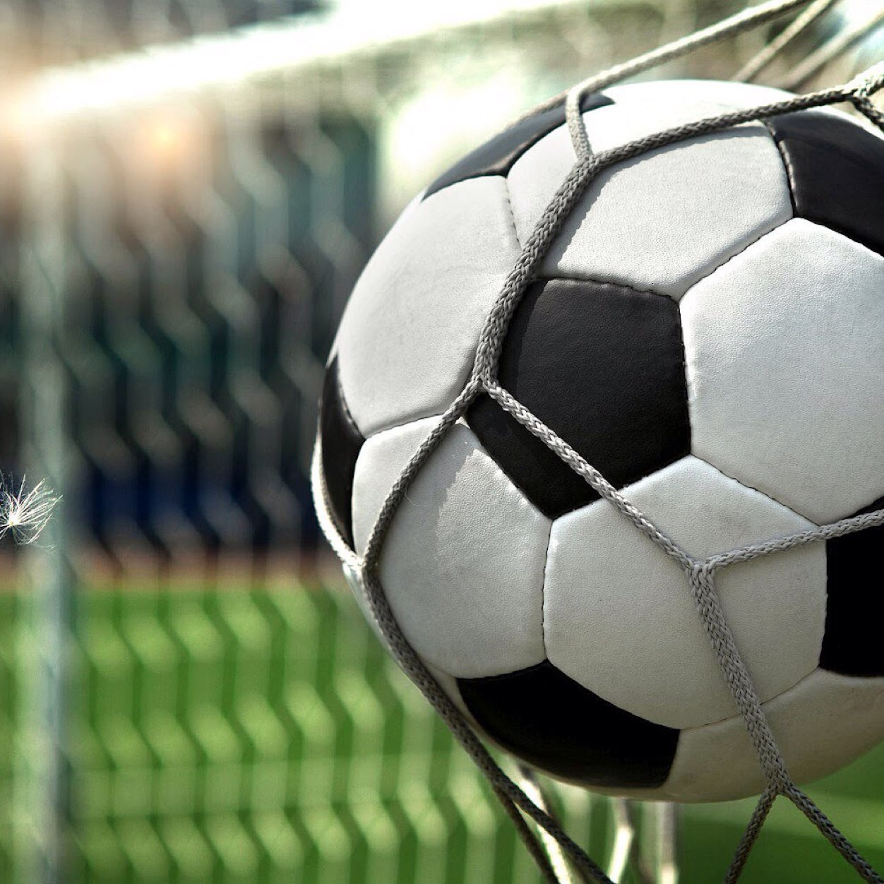 FC voetbal nieuws post al het nieuws van het Nederlands voetbal en van het internationale voetbal.