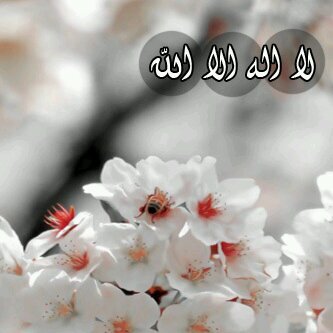 ‏‏ﻻاله اﻻ انت سبحانك اني كنت من الظالمين