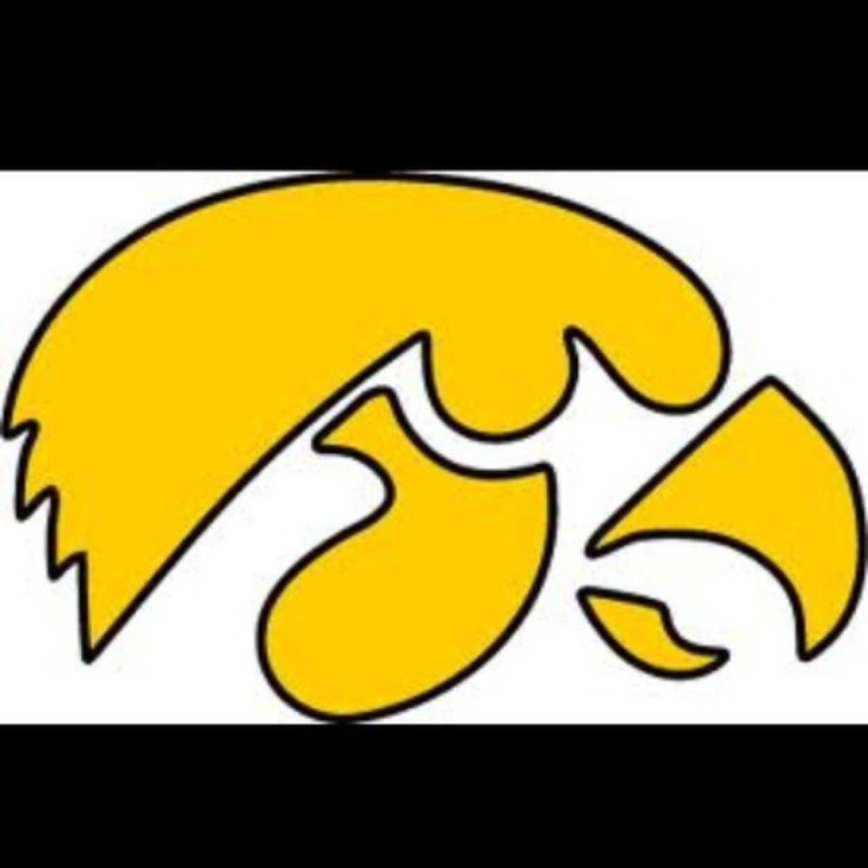 Go Hawks!