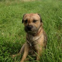 Jennie Lucas (@jenzer80) 's Twitter Profile