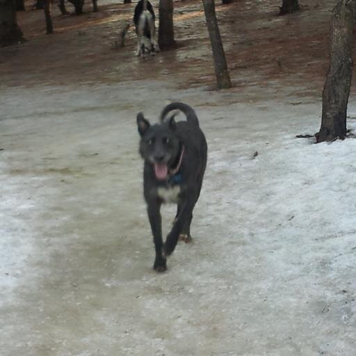 ChasinCats's profile picture. 