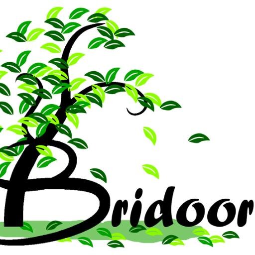 Bridoor Profile Picture