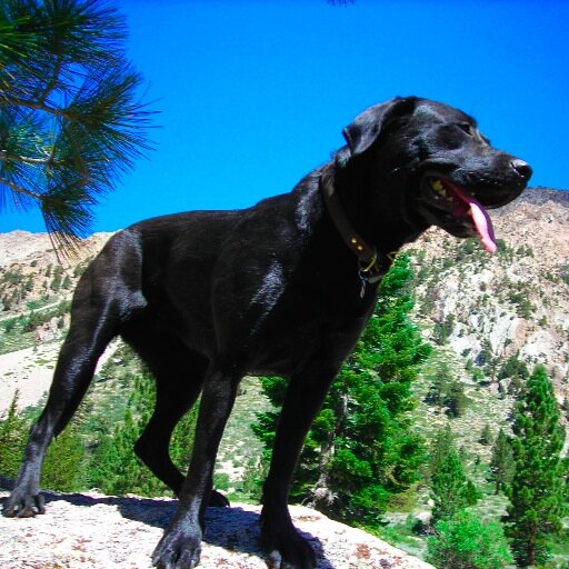 acbraudrick's profile picture. 