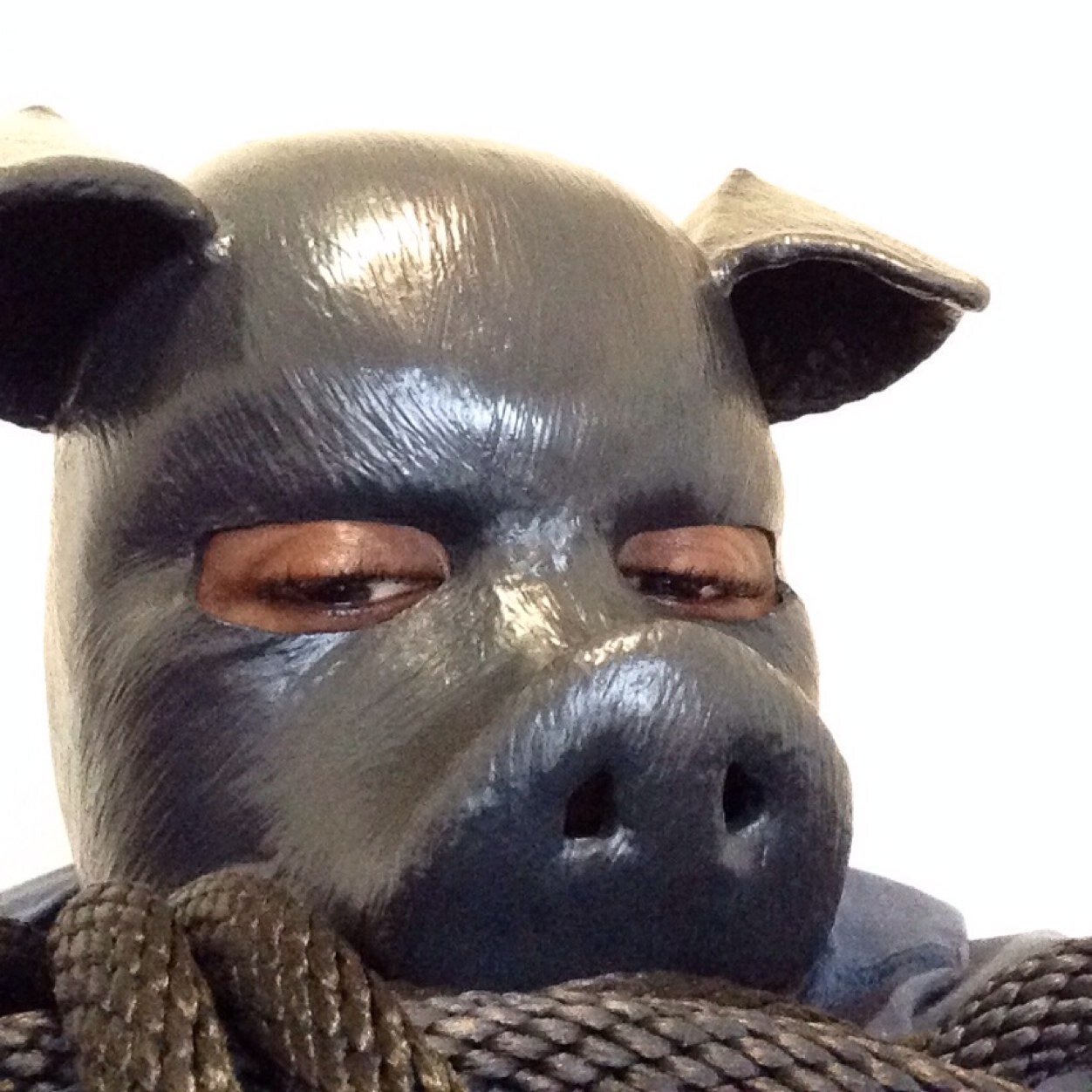 fuzzinrubber's profile picture. 36yr old Creative, horny, kinky gay rubber, cigars, sweaty, anthro, holes getting filled and whatever else makes me squeal #NSFW pig :@)