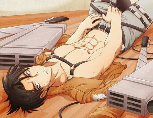 P0tLevi's profile picture. I am looking for you.