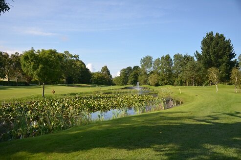 CourtownGC's profile picture. 