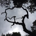 barbara lenzi - @barbaralenzi3 - Twitter