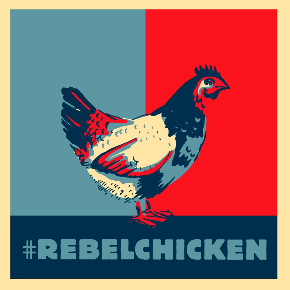 TheRebelChicken's profile picture. Everyday Rebellion. 
Inspired by the spirit of The Gypsy Goddess by @MeenaKandasamy