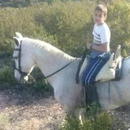 alejandrogon13's profile picture. 