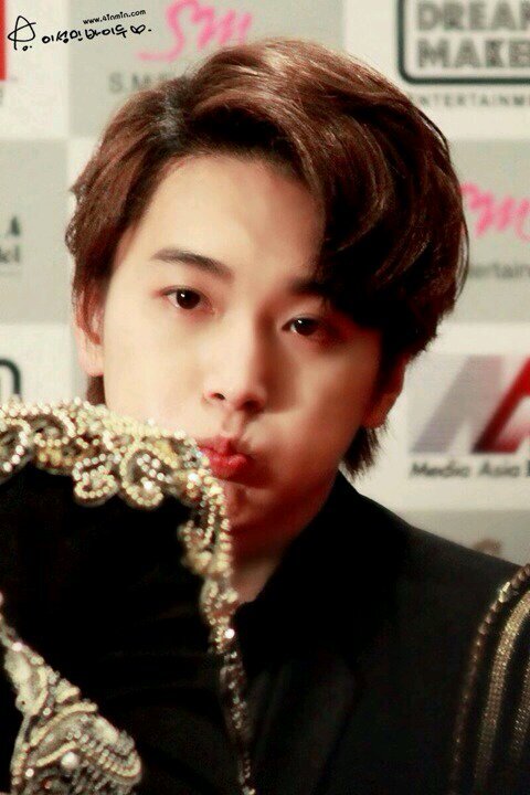 neko08141's profile picture. 