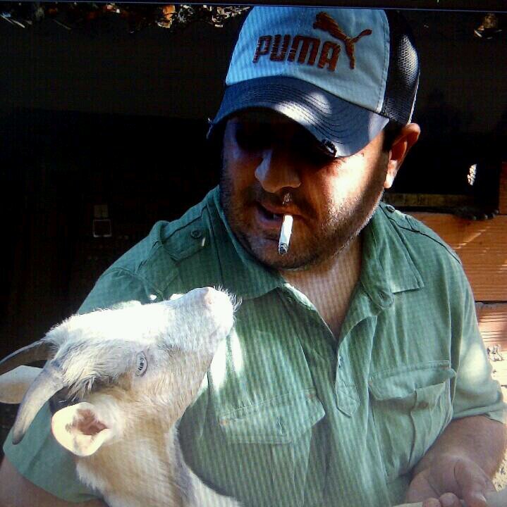 brasilxpress's profile picture. 