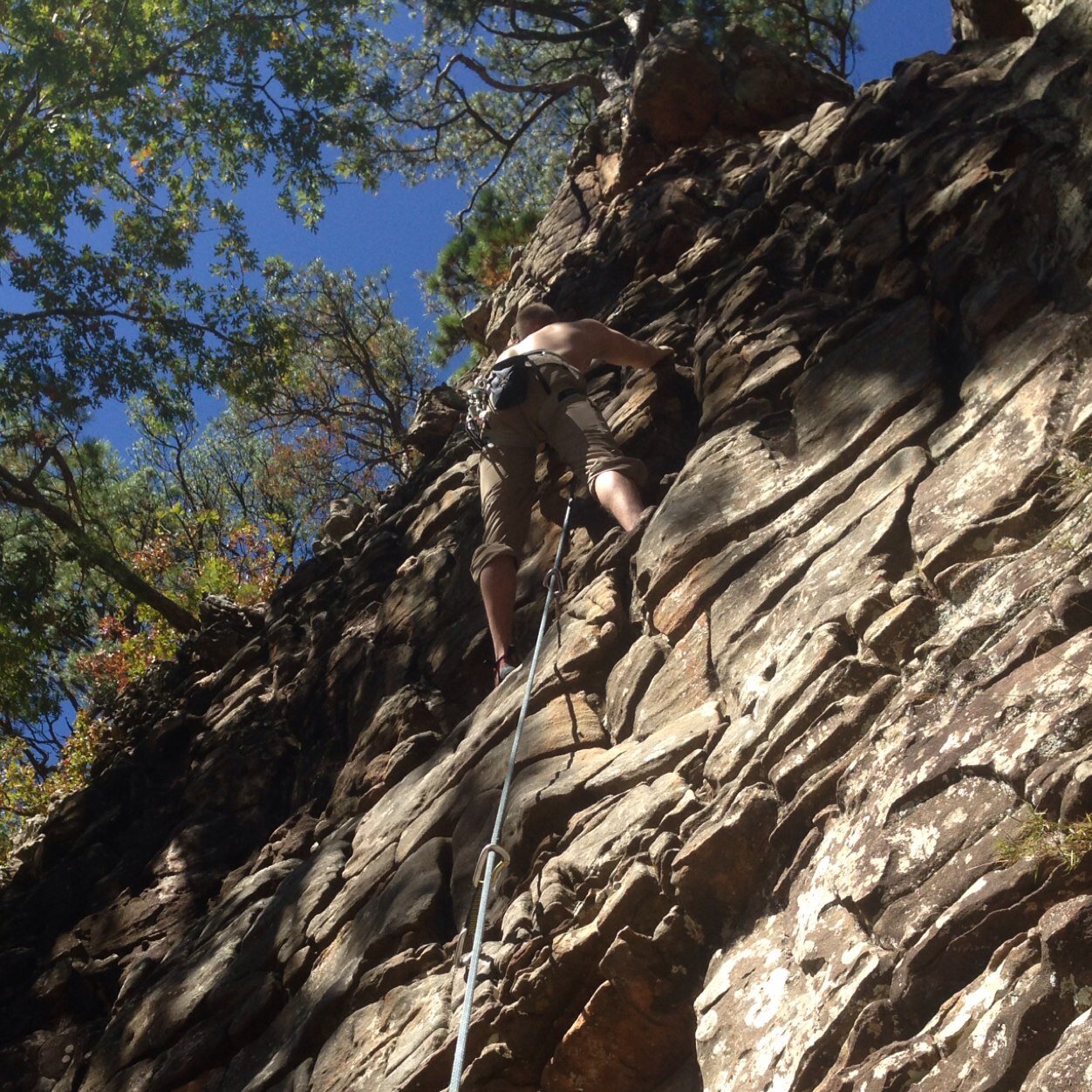 AlexRottman's profile picture. its all about climbing rocks and black T-shirts