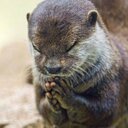 sergio vasques  - @sergiovasques3 - Twitter