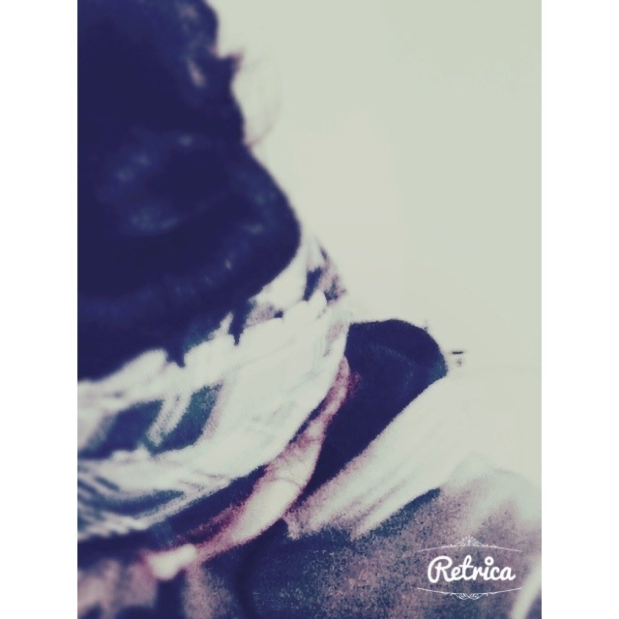 Dont follow your dreams, follow me xD -- Kik; areeba_cookiemonster -- snapchat; areebacocozza -- @FrankieCocozza & @PizzaHut follow me, my life is complete :')