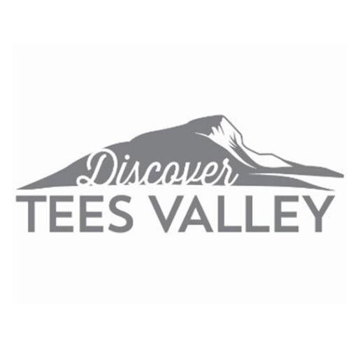 Defining the Voice of the Tees Valley