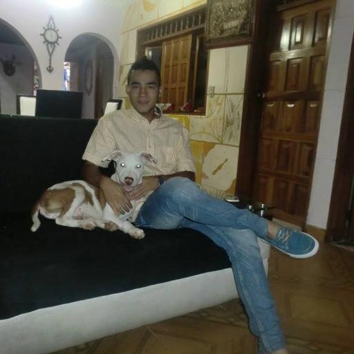 101% SILVESTRITA.                                                                                                              Whatsapp: 3204371184 BBM:7BA4F2E0