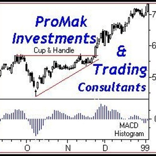 ProMak Investments & Trading Consultants