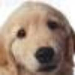 rokada55's profile picture. 