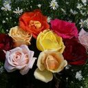 Karla Rosa Ruiz - @karlarosaruiz - Twitter