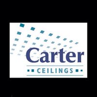 Carter Ceilings (@carterceilings) 's Twitter Profile Photo