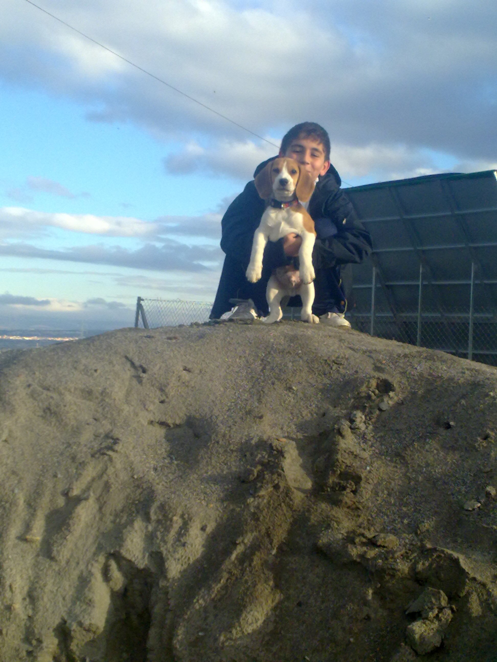 jaime46mono's profile picture. Reddio