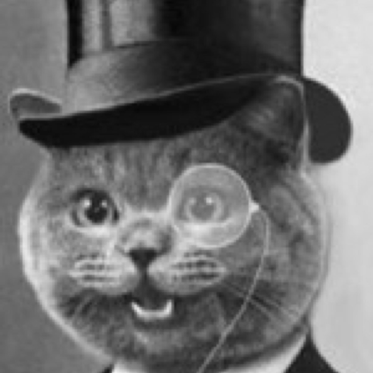 HonestFactCat's profile picture. HonestFactCat™ New account. Daily Honest Facts. #HonestFacts  Goal: 1k