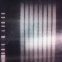 Bob Schmitz(@Schmitz_Lab) 's Twitter Profile Photo Bob Schmitz(@Schmitz_Lab) 's Twitter Profile Photo