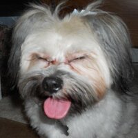 Edan Blyth (@tootsyim) 's Twitter Profile