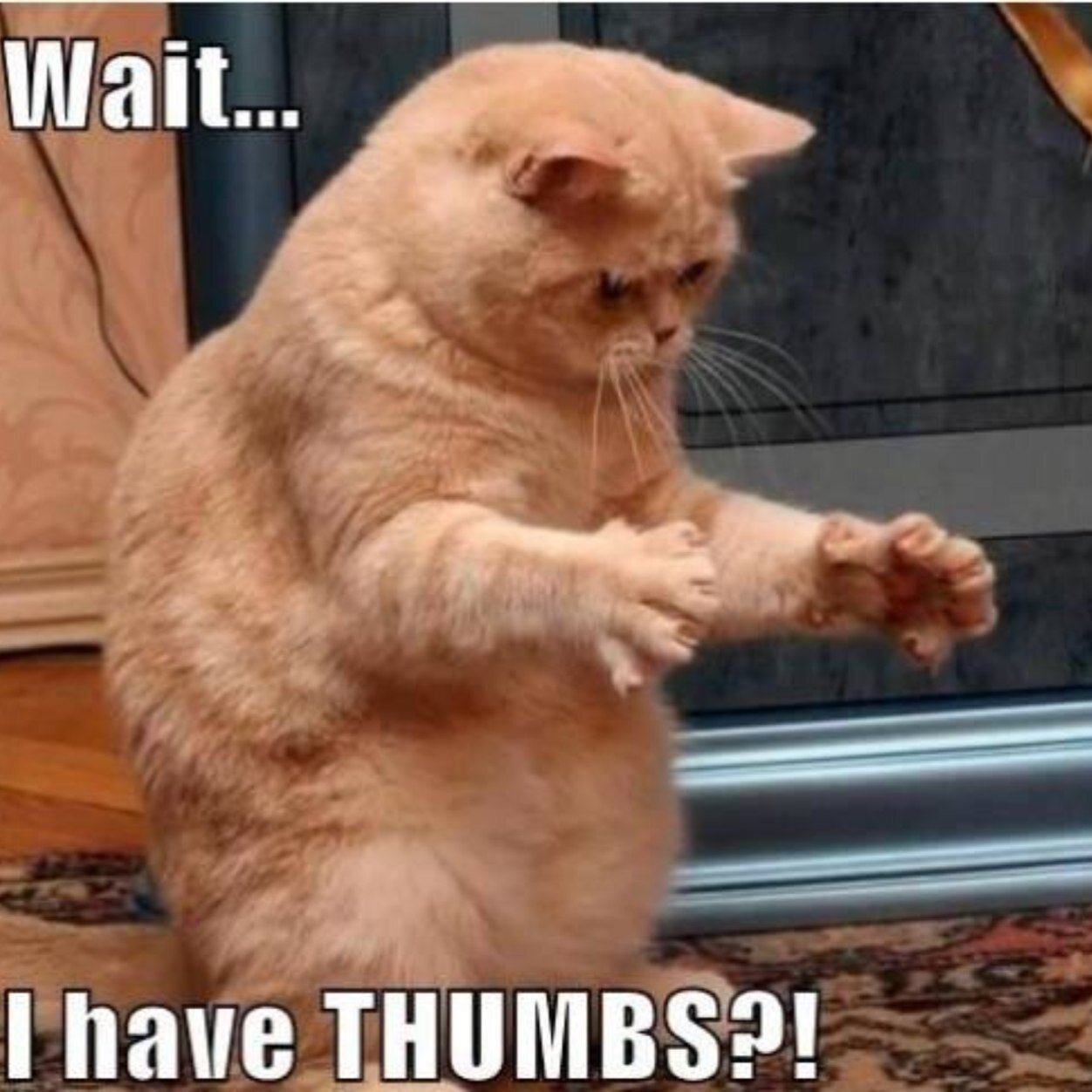 kira_and_ashley's profile picture. 