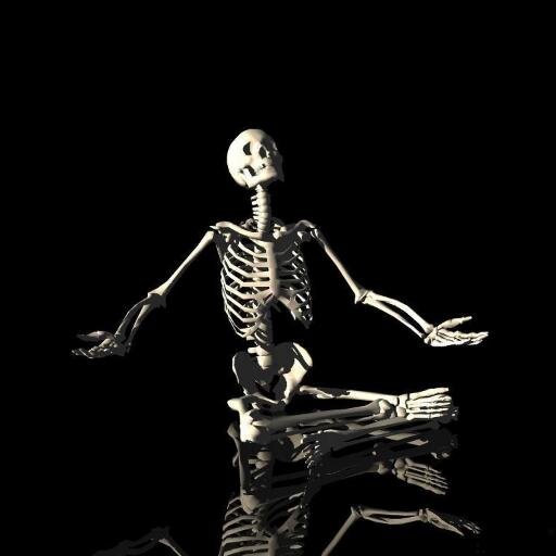 divelale's profile picture. Diario público sin público. Nací me porte mal crecí, me gusta no tener el control, en paz sin dudas, nada es tan en serio, divierte haciendo cosas difíciles.