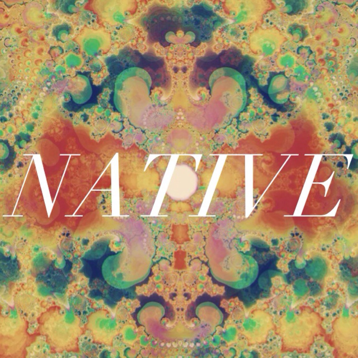wearethenative's profile picture. indie-alternative band from bath, england