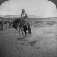 facelogik (@facelogik) 's Twitter Profile