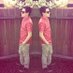 Jeremy Pimentel (@jeremybbyy) Twitter profile photo Jeremy Pimentel (@jeremybbyy) Twitter profile photo