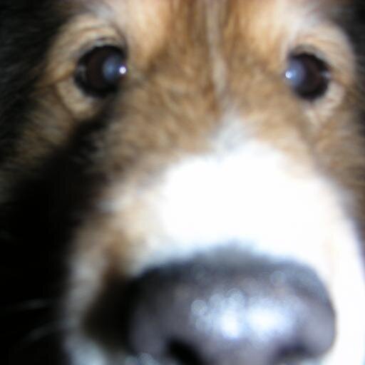 rmckrmck's profile picture. Interested observer of humanity with optimism that intelligence will overcome ignorance...but it's a struggle many days!